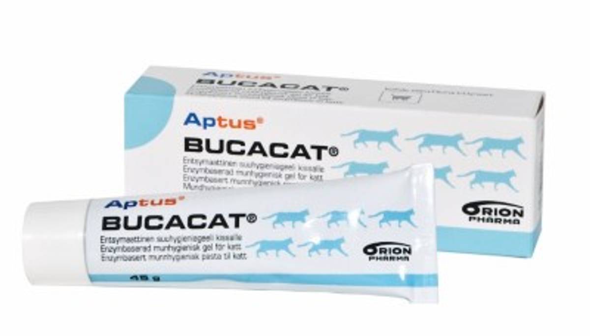 Bucacat oralpasta 45 gram